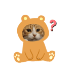 にゃんこnyanko（個別スタンプ：6）