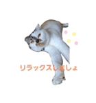 スコの生活百科！（個別スタンプ：8）
