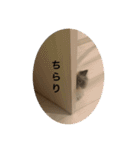 P ＆co（個別スタンプ：1）
