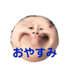 せいじろう（19）（個別スタンプ：2）