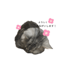 猫のテテくん（個別スタンプ：3）