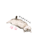 猫のテテくん（個別スタンプ：28）