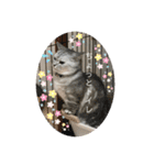 猫のテテくん（個別スタンプ：32）