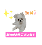 めろん＆にこる（個別スタンプ：2）
