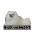 めろん＆にこる（個別スタンプ：3）