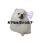 めろん＆にこる（個別スタンプ：4）