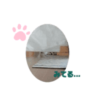 めろん＆にこる（個別スタンプ：6）