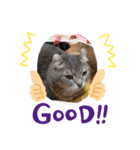 浦上家の愛しい猫達（個別スタンプ：8）