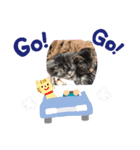 浦上家の愛しい猫達（個別スタンプ：9）