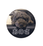 おれはマハロ2（個別スタンプ：6）