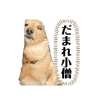 ミニチュアダックスの日常2（個別スタンプ：29）