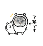しるりんスタンプ（個別スタンプ：7）