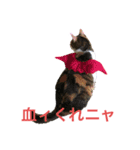 うちのアイちゃん（個別スタンプ：5）