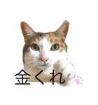 うちのアイちゃん（個別スタンプ：6）