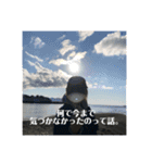 看護学生による看護学生のためのやつ（個別スタンプ：16）