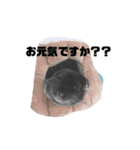 チンチラの茶々丸大吉3（個別スタンプ：10）