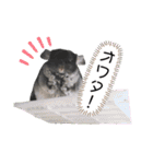 チンチラの茶々丸大吉3（個別スタンプ：27）