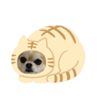 ちわっちー 1（個別スタンプ：8）
