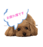 relaxed  stamp  2（個別スタンプ：3）