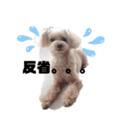 relaxed  stamp  2（個別スタンプ：5）
