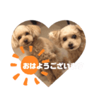 relaxed  stamp  2（個別スタンプ：6）