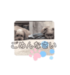 relaxed  stamp  2（個別スタンプ：7）