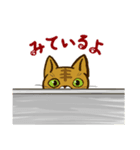 ねこが見てるだけ（個別スタンプ：1）
