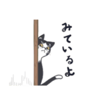 ねこが見てるだけ（個別スタンプ：2）