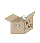 ねこが見てるだけ（個別スタンプ：3）