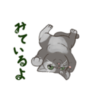 ねこが見てるだけ（個別スタンプ：4）