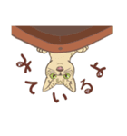 ねこが見てるだけ（個別スタンプ：7）