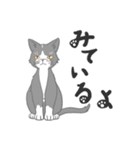 ねこが見てるだけ（個別スタンプ：8）