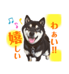 まろんくん実写スタンプ②（個別スタンプ：7）
