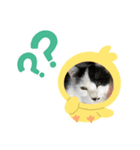 ほくろファミリー（個別スタンプ：7）