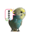 かわいいルイ君（個別スタンプ：8）