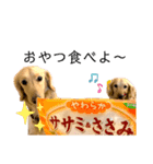 るーるるる＆ろーろろろ♪（個別スタンプ：5）