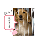 るーるるる＆ろーろろろ♪（個別スタンプ：8）