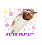 Bad Fluke（個別スタンプ：11）