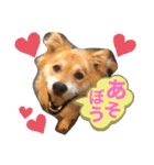 向後家しゅうごう！（個別スタンプ：2）