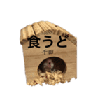 千田デラックス（個別スタンプ：3）