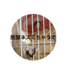 千田デラックス（個別スタンプ：4）