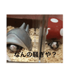 千田デラックス（個別スタンプ：5）
