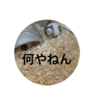 千田デラックス（個別スタンプ：7）