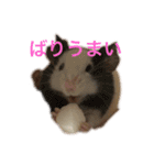 千田デラックス（個別スタンプ：8）