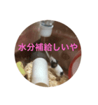 千田デラックス（個別スタンプ：9）