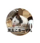 千田デラックス（個別スタンプ：13）