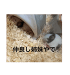 千田デラックス（個別スタンプ：14）
