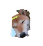 るな日記（個別スタンプ：8）