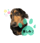 ぽてちのぽてぽてスタンプ（個別スタンプ：1）
