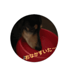 ぽてちのぽてぽてスタンプ（個別スタンプ：21）